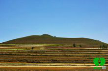 ">张家口 /a>市 a target="_blank" href="/item/张北县/10680502"