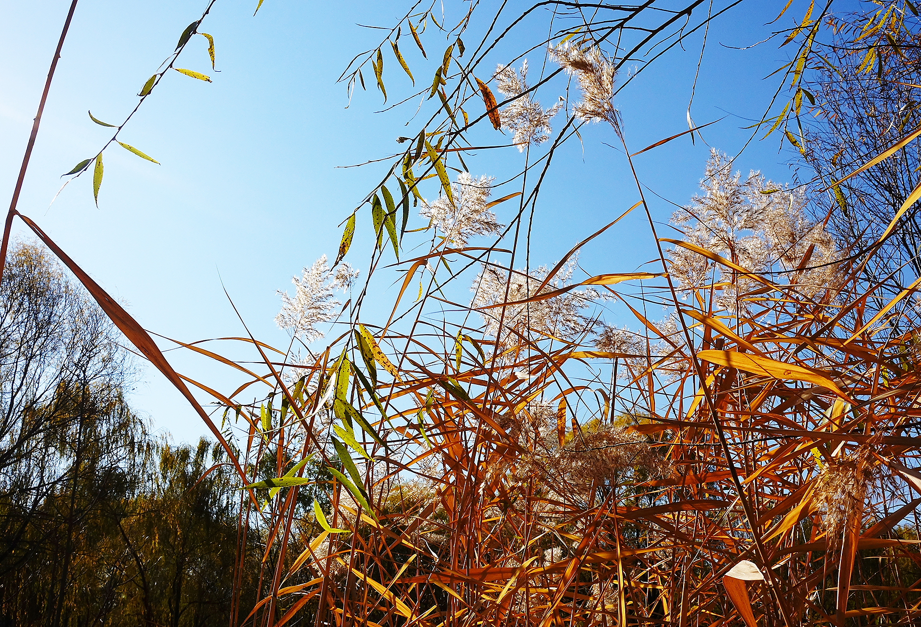  p>日月岛是大庆连环湖度假区西部一个面积约1平方公里的湖中小岛