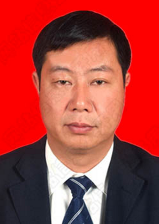 data-lemmaid="1208325">双柏县 /a>委副书记,县长,楚雄州十三届人大