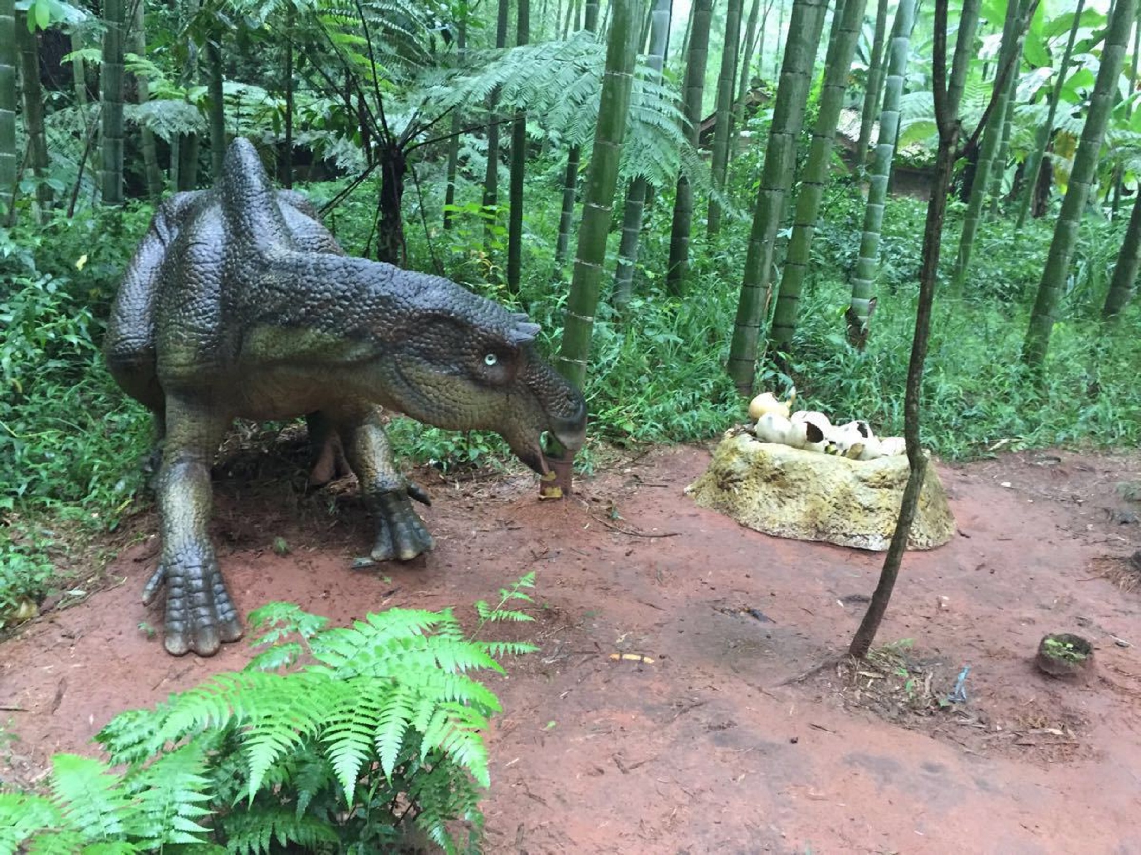  p>中国侏罗纪公园位于贵州省 a href="#">赤水 /a>市 a href="#"