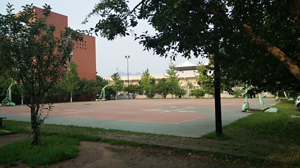 体育设施图片