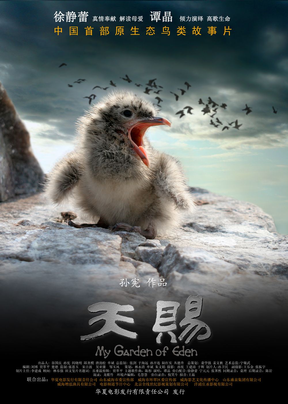 《天赐》是由华夏电影发行有限责任公司发行