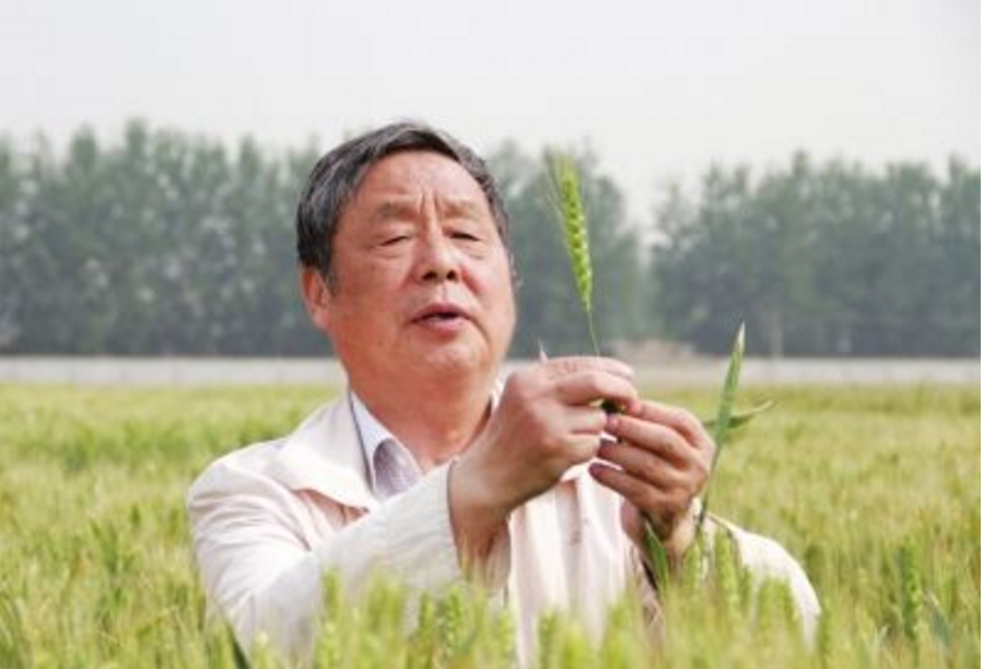 新冠疫苗"守护者"赵振东