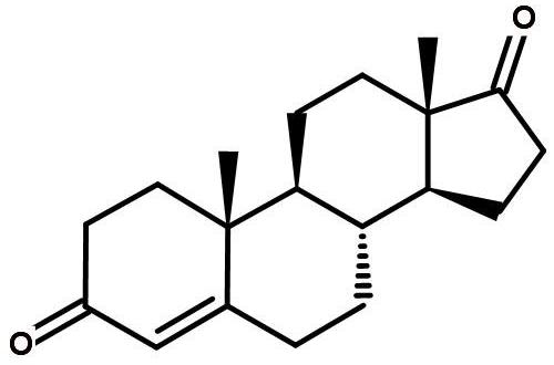 雄烯二酮生物化学名词