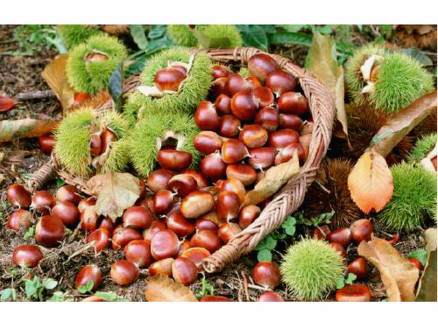 ">日照市 /a> a target="_blank" href="/item/五莲县/2460128" data