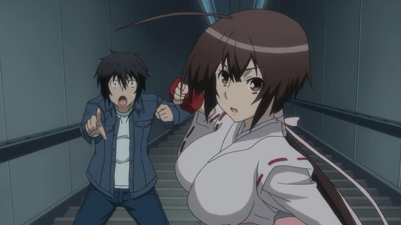 鹡鸰女神～pure engagement