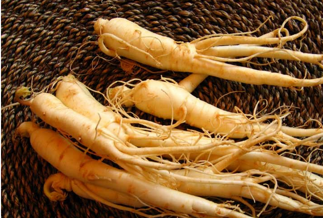 寿仙谷西红花铁皮枫斗膏