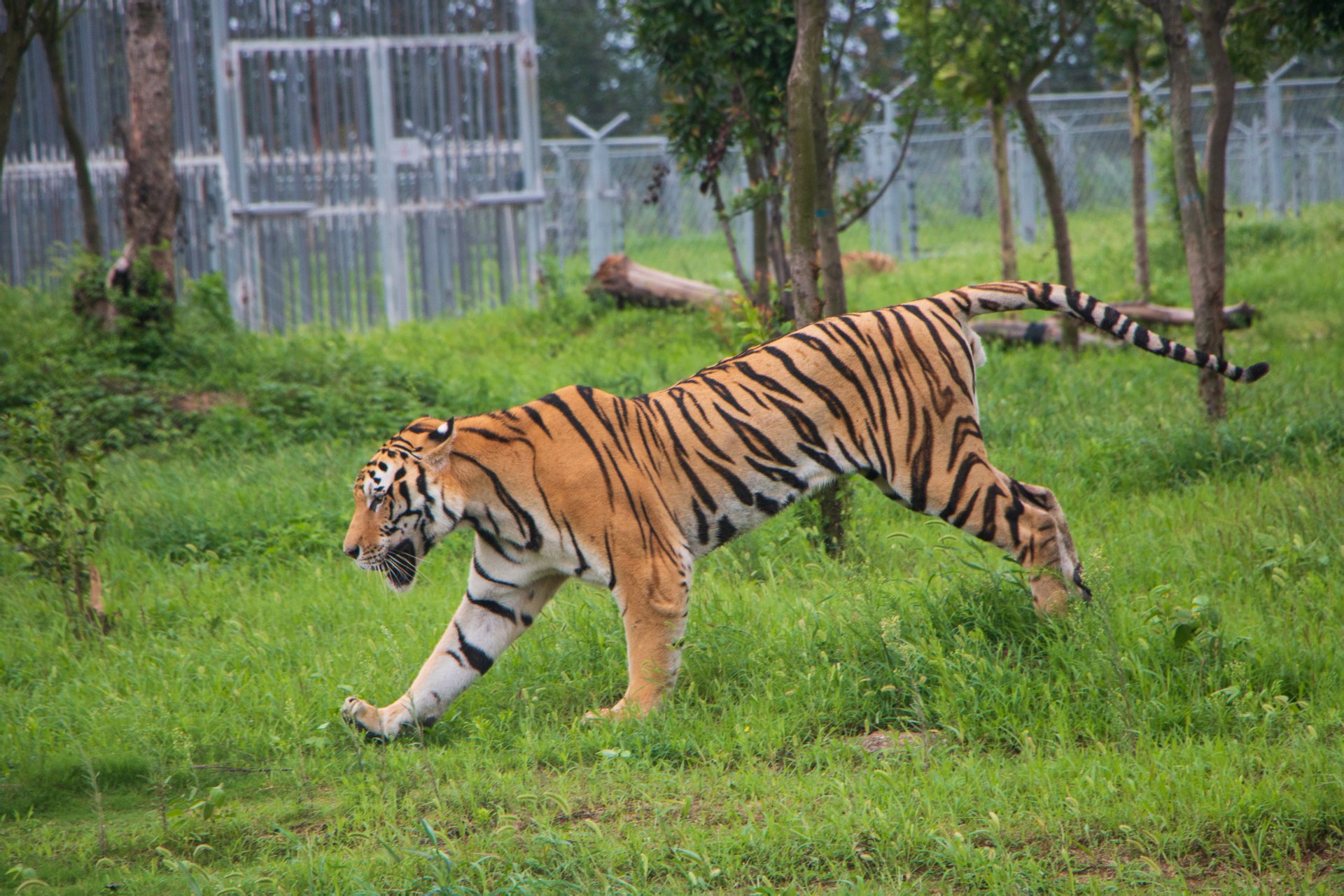 宿州野生动物园