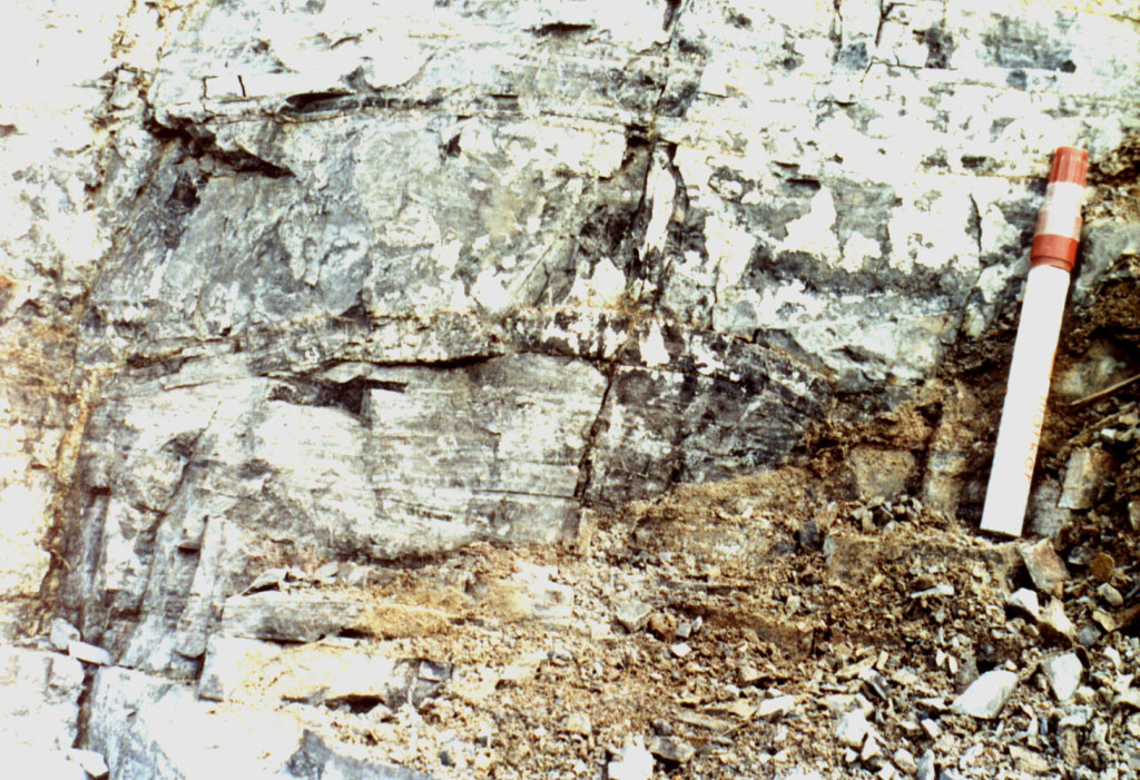 为浅海相泥沙质沉积,以紫红,灰绿等杂色页岩,泥岩夹粉砂岩为主,含
