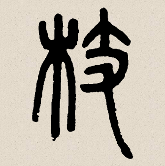 枝_百度百科