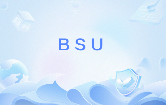 BSU（网络流行语）_百度百科