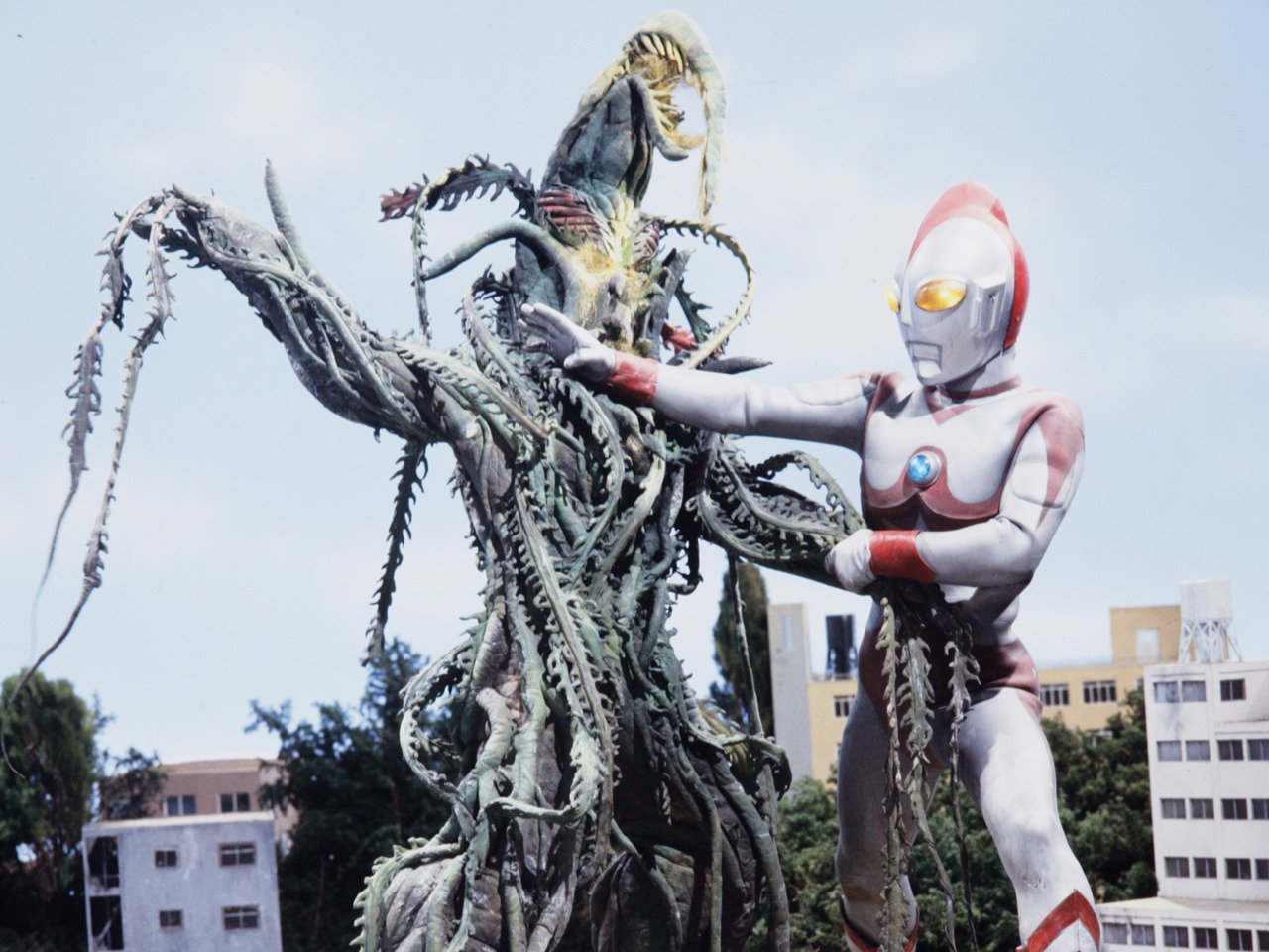 仿植物怪兽佐拉