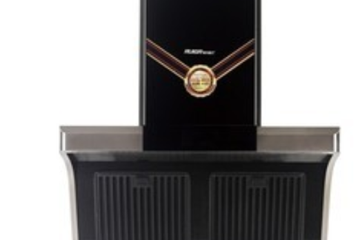  p>瑞贝格尔cxw-288-g20是一款抽油烟机. /p>