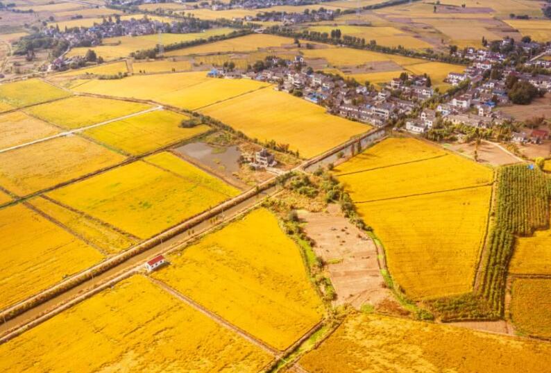  p data-id="gnz1sku46n">姚桥镇,隶属于江苏省镇江市 a target="