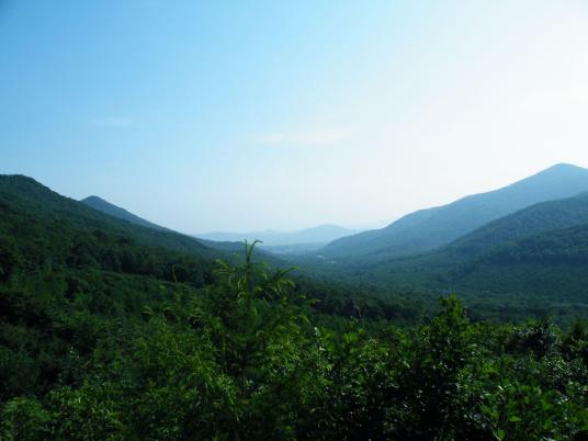 莲花山郊野公园 百度百科