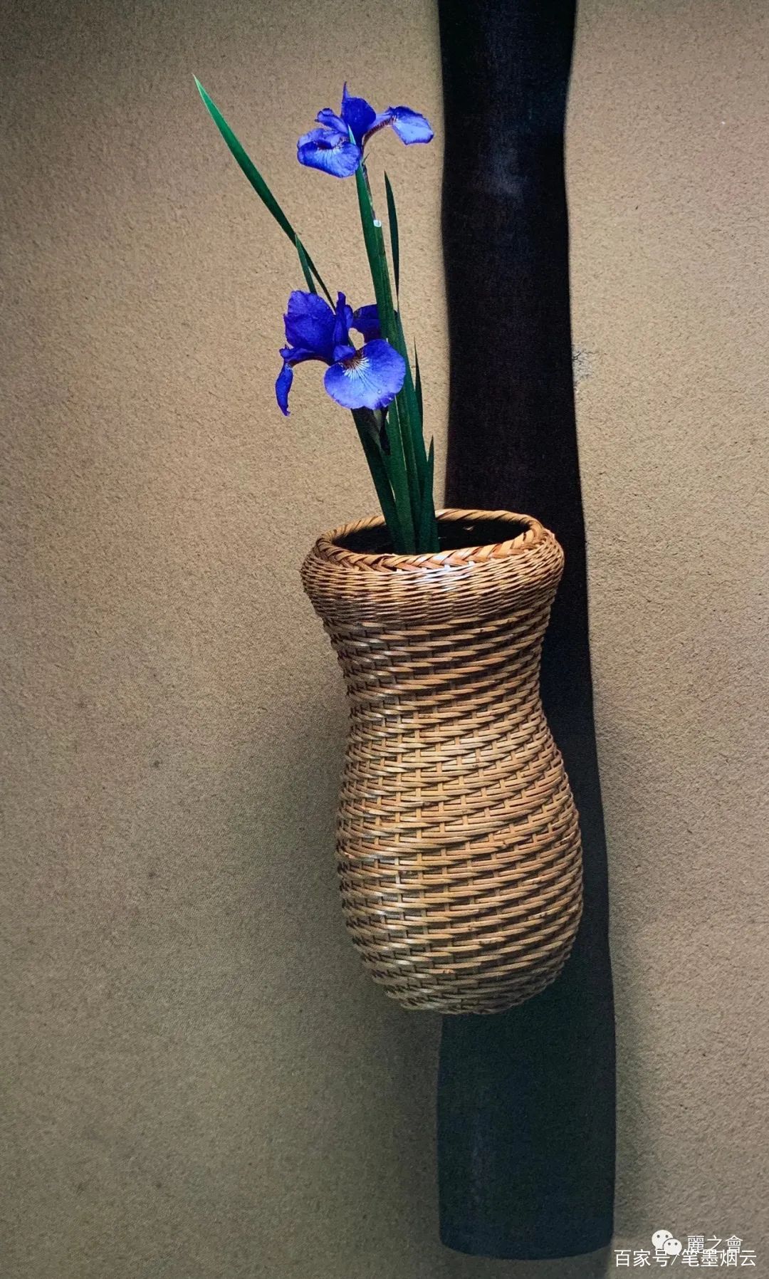 日本茶道与花 百科ta说
