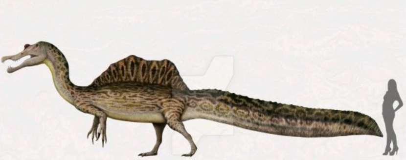  p>棘龙属(属名:spinosaurus)意思为"有棘的蜥蜴" ,是种 a target="