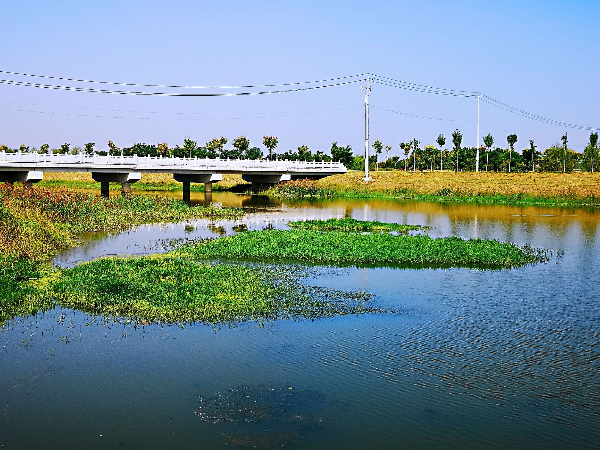 七里河湿地公园