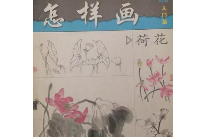 怎样画荷花