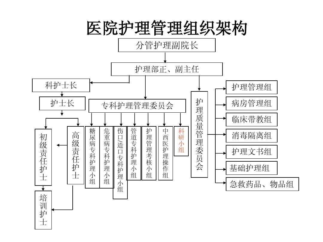  p data-id="gnwg3wkl02">护理管理学是管理学的一个分支,属于管理学