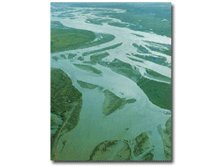 三角洲(delta),即 a href="#" data-lemmaid="22550868">河口冲积平原