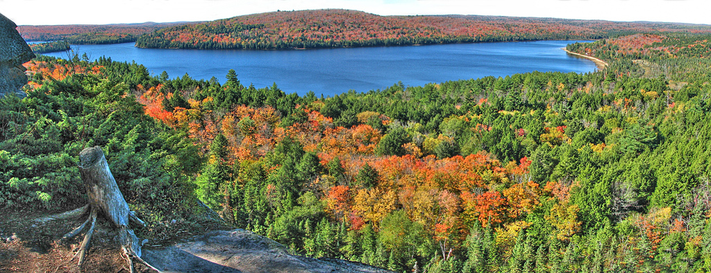  p data-id="go088mbq31">阿岗昆省立公园(algonquin provincial park