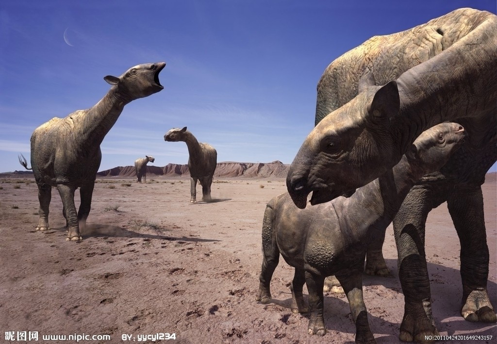 巨犀(indricotherium)