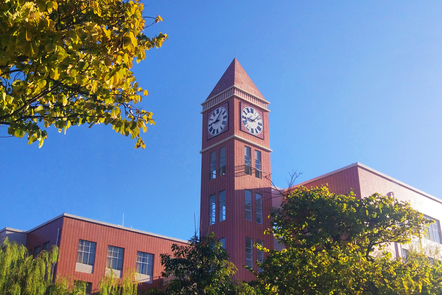  p>保山学院(baoshan university,bsu)是经国家教育部批准的全日制