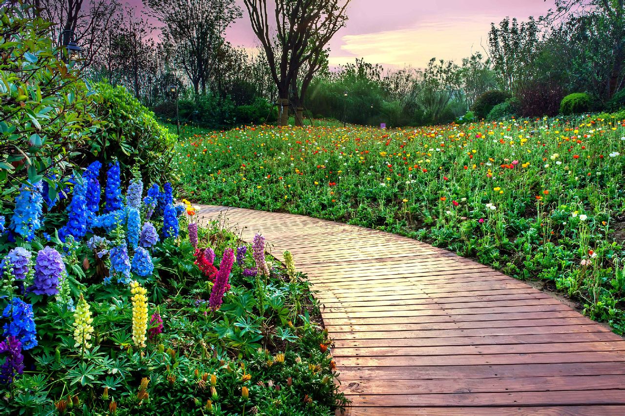 meebo野孩子主题公园