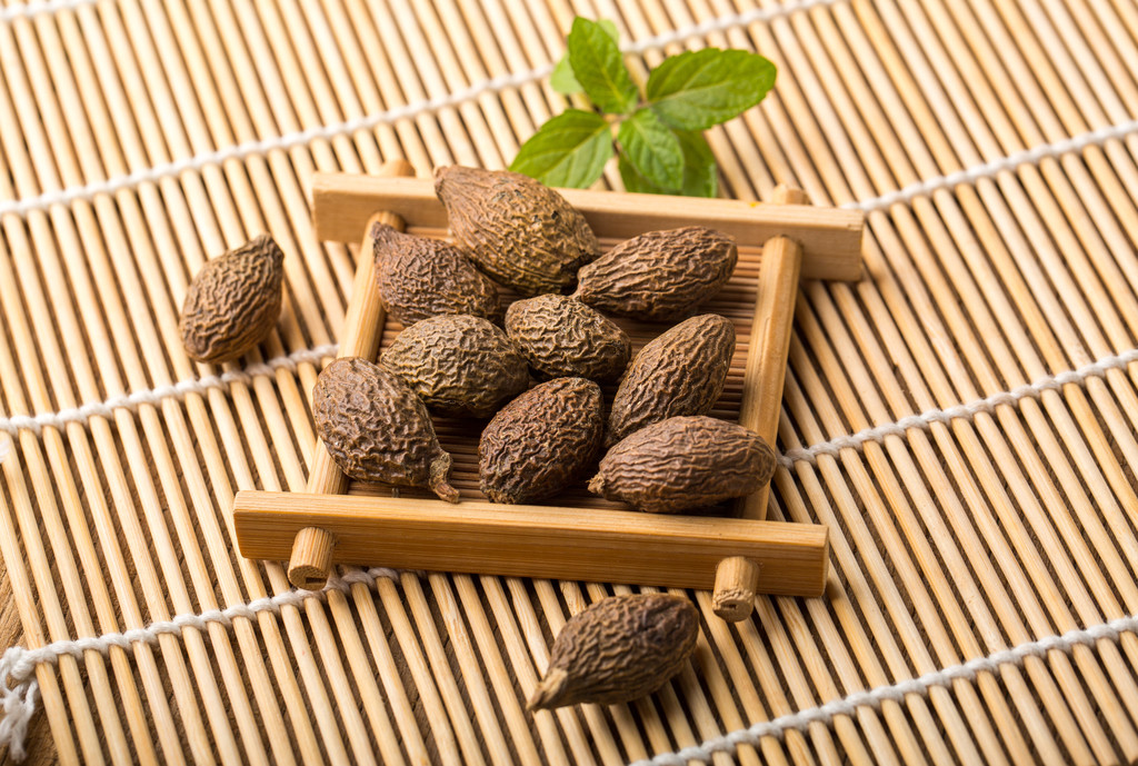  p>胖大海别名 :大海,大海子,大洞果,大发, a target="_blank" href="