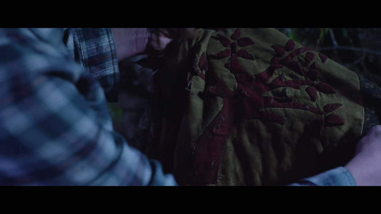  p>《太平间闹鬼事件2:佐治亚鬼屋事件》是由汤姆·埃尔金斯执导, a