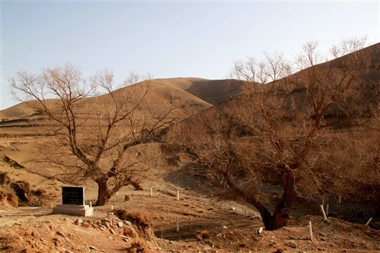  p>震柳是 a target="_blank" href="/item/海原地震/2445200" data