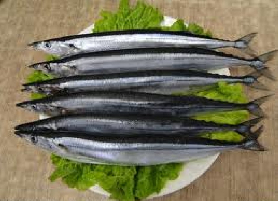 后来也就很少见到这种无骨头的鱼