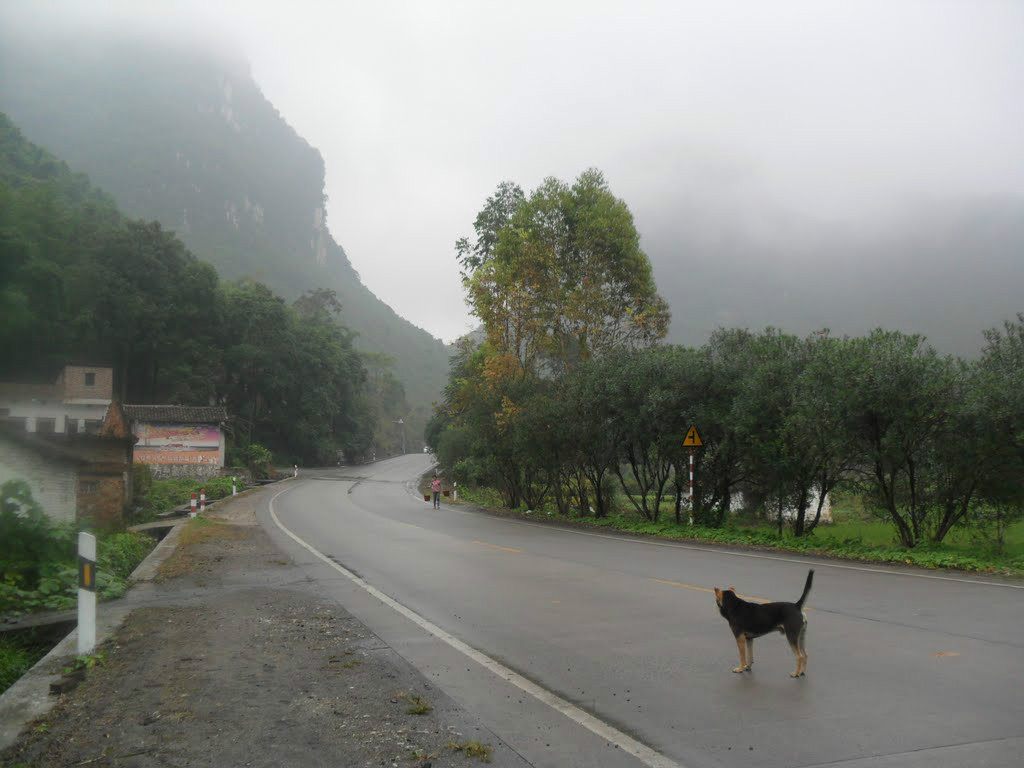  p>四把镇,广西壮族自治区河池市罗城仫佬族自治县下辖镇, span class