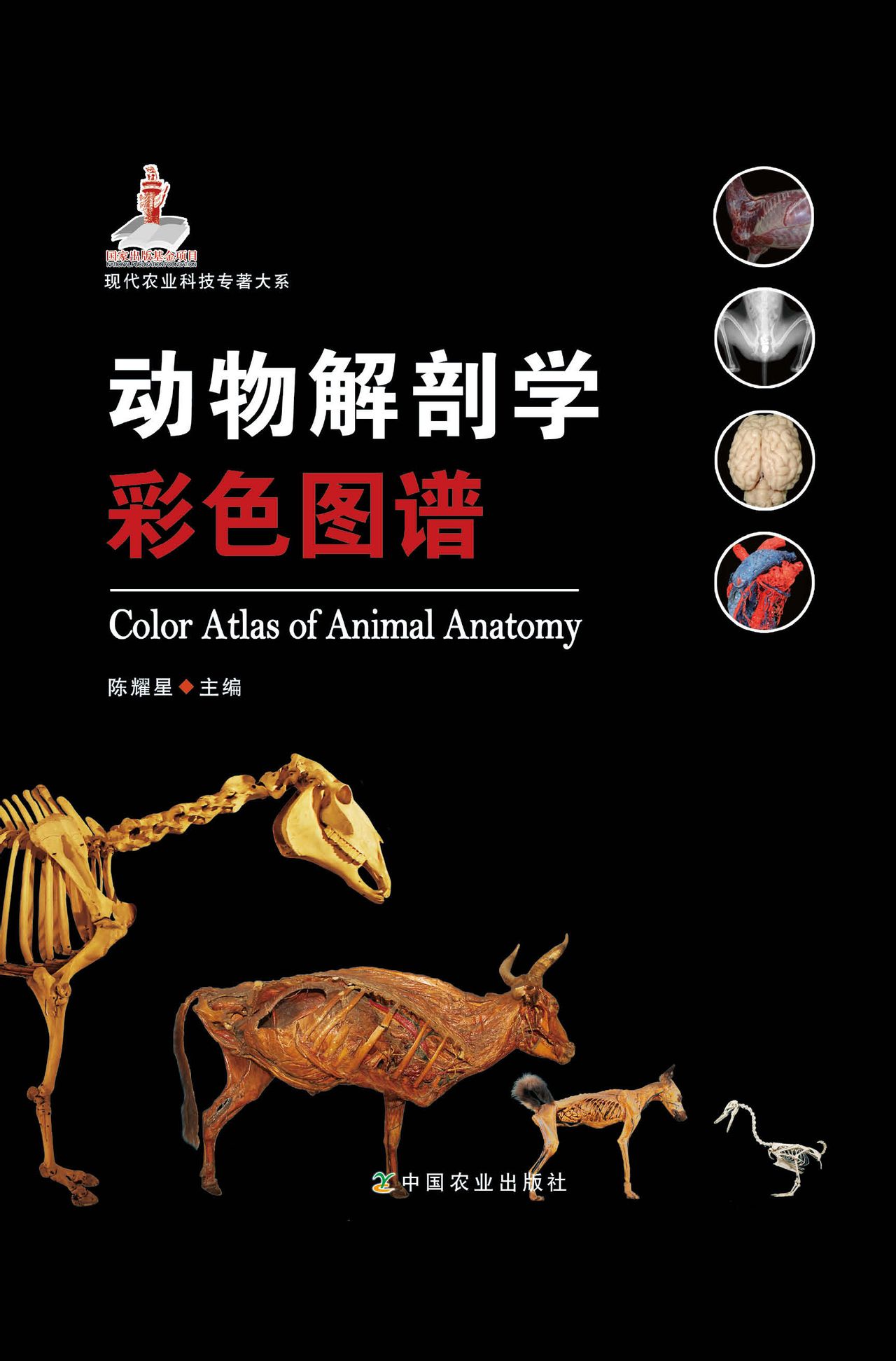 动物解剖学彩色图谱