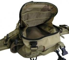 马盖先圣甲虫腰包