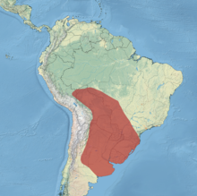 chauna torquata