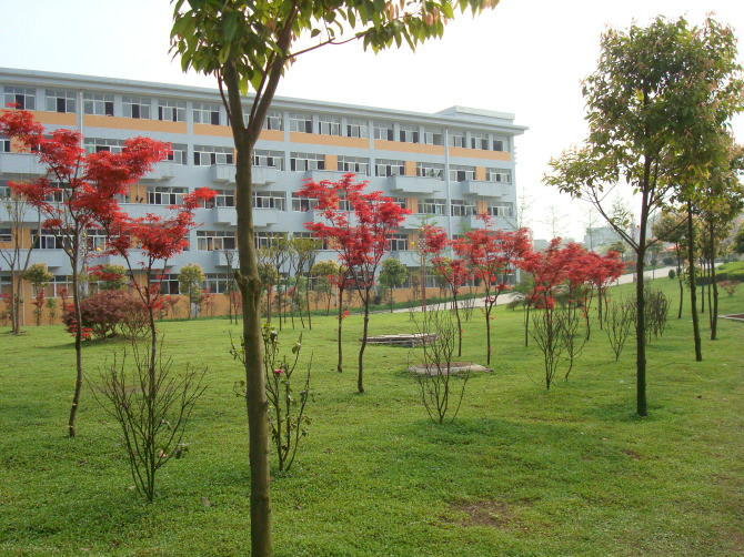 四川省大英中学