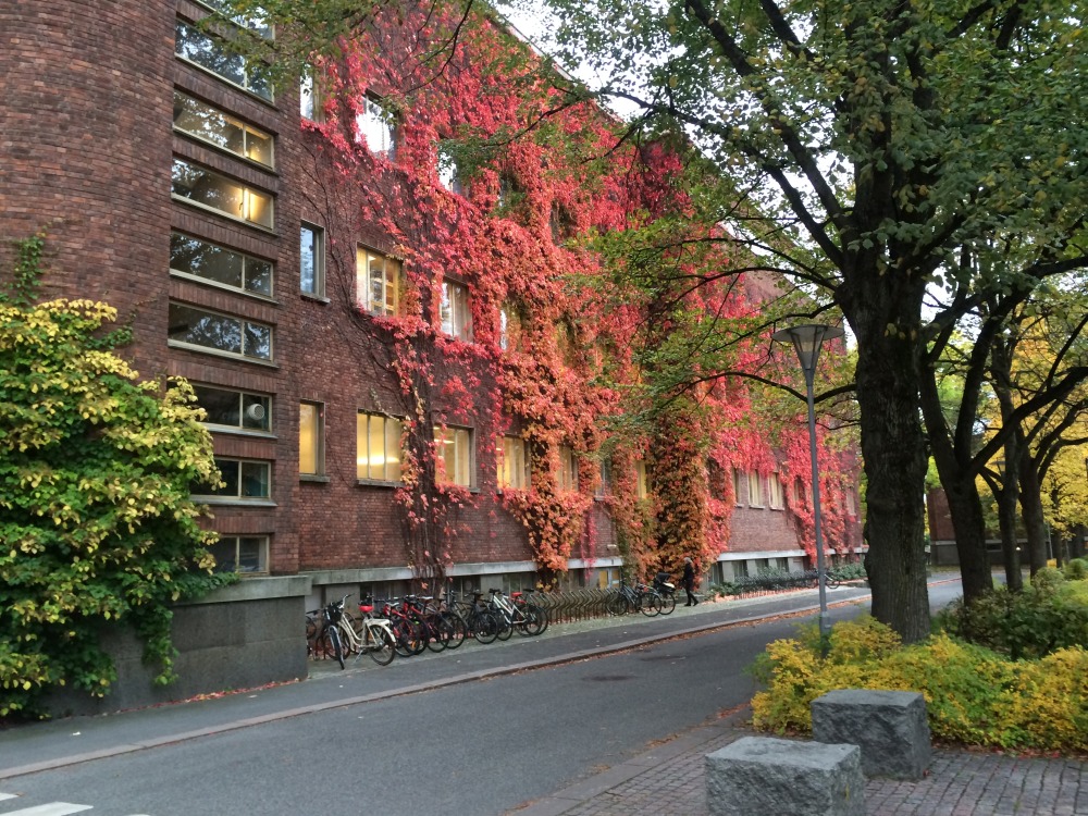 奥斯陆大学
