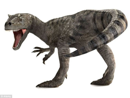 的白垩纪晚期的肉食性 a target="_blank" href="/item/恐龙/139019"