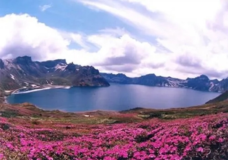 长白山高山花园