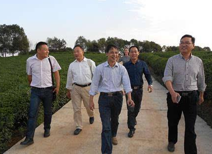  p>彭必源,1955年11月生,湖北省石首市人,本科学历, a href="#" data