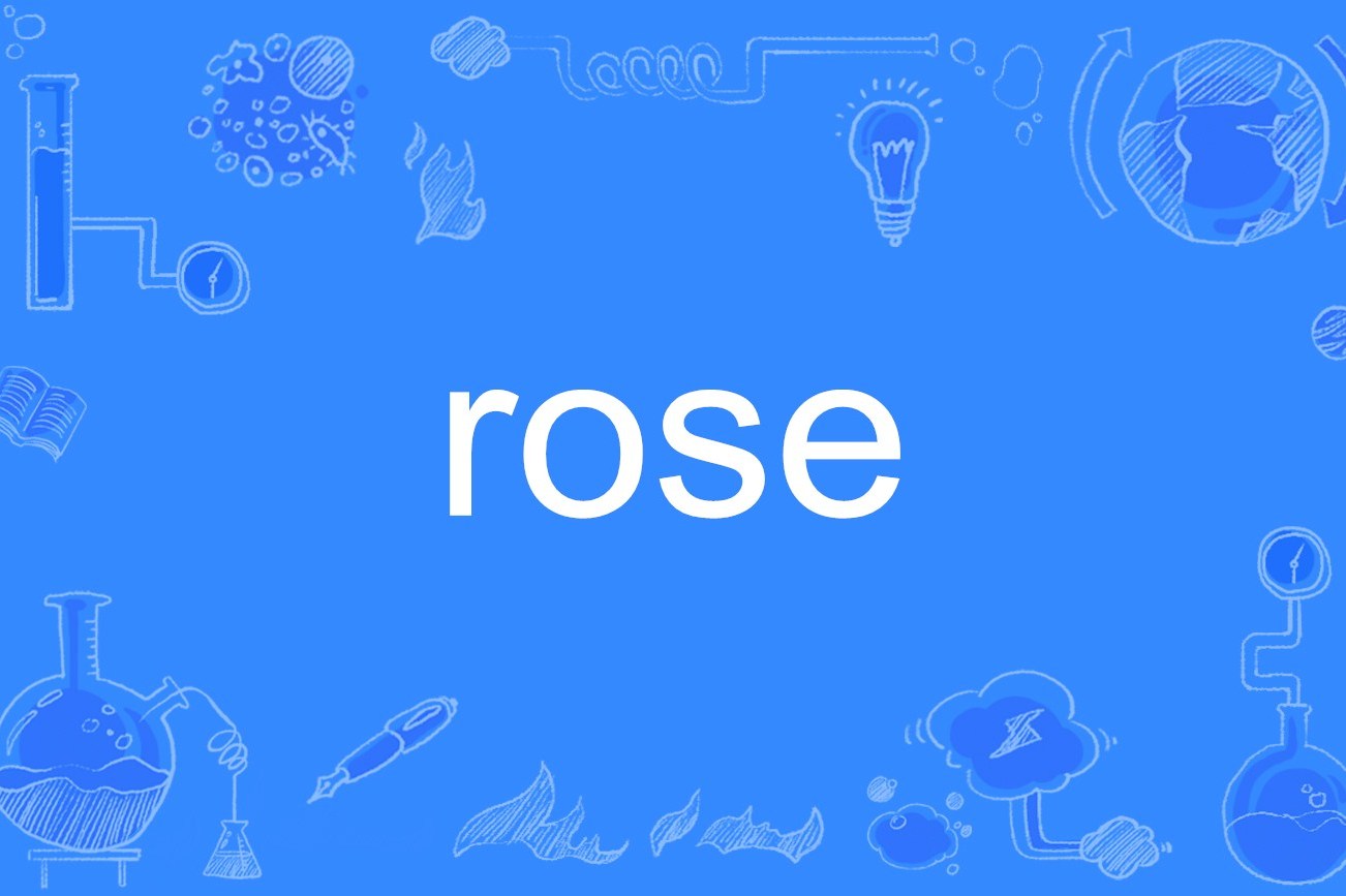  p data-id="gnbt51tlsl">rose是一个 a target="_blank" href="/item