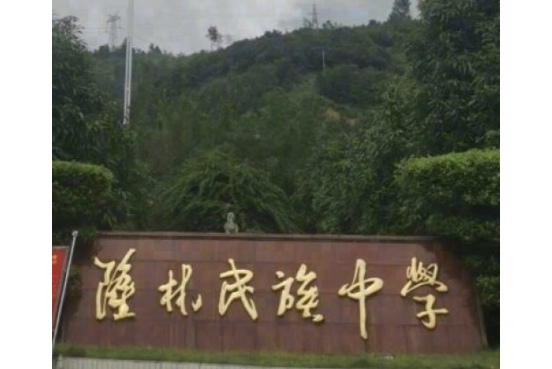 隆林各族自治县民族中学