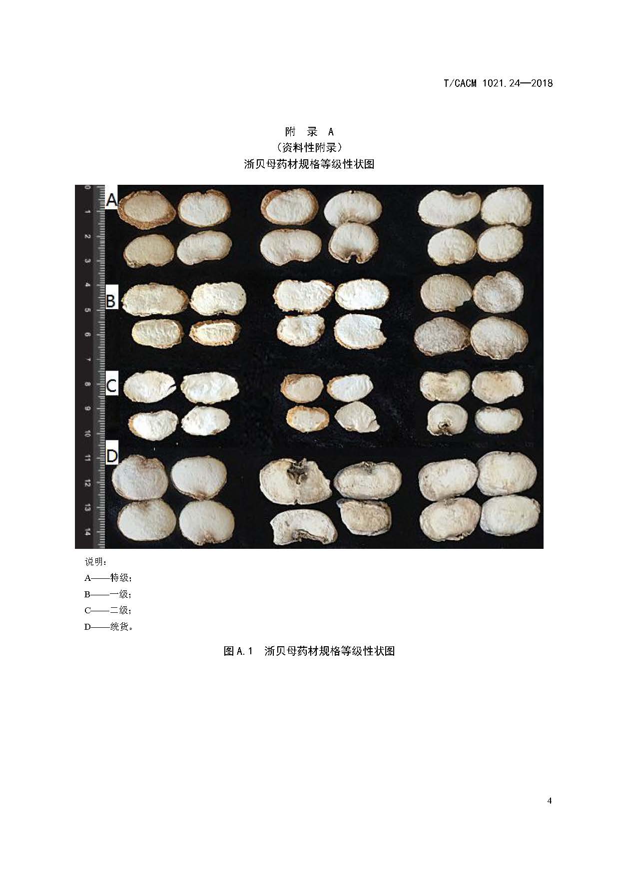  p>《中药材商品规格等级—浙贝母》(t/cacm 1021.