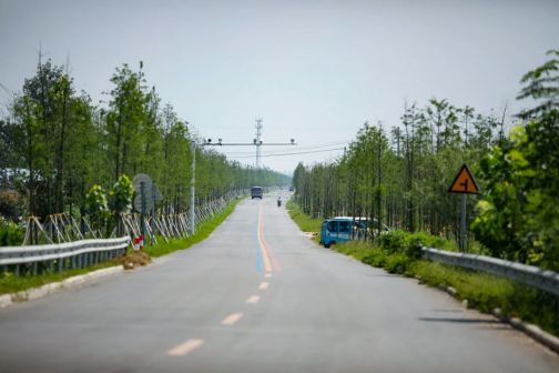 丰县（江苏省徐州市辖县）_百度百科