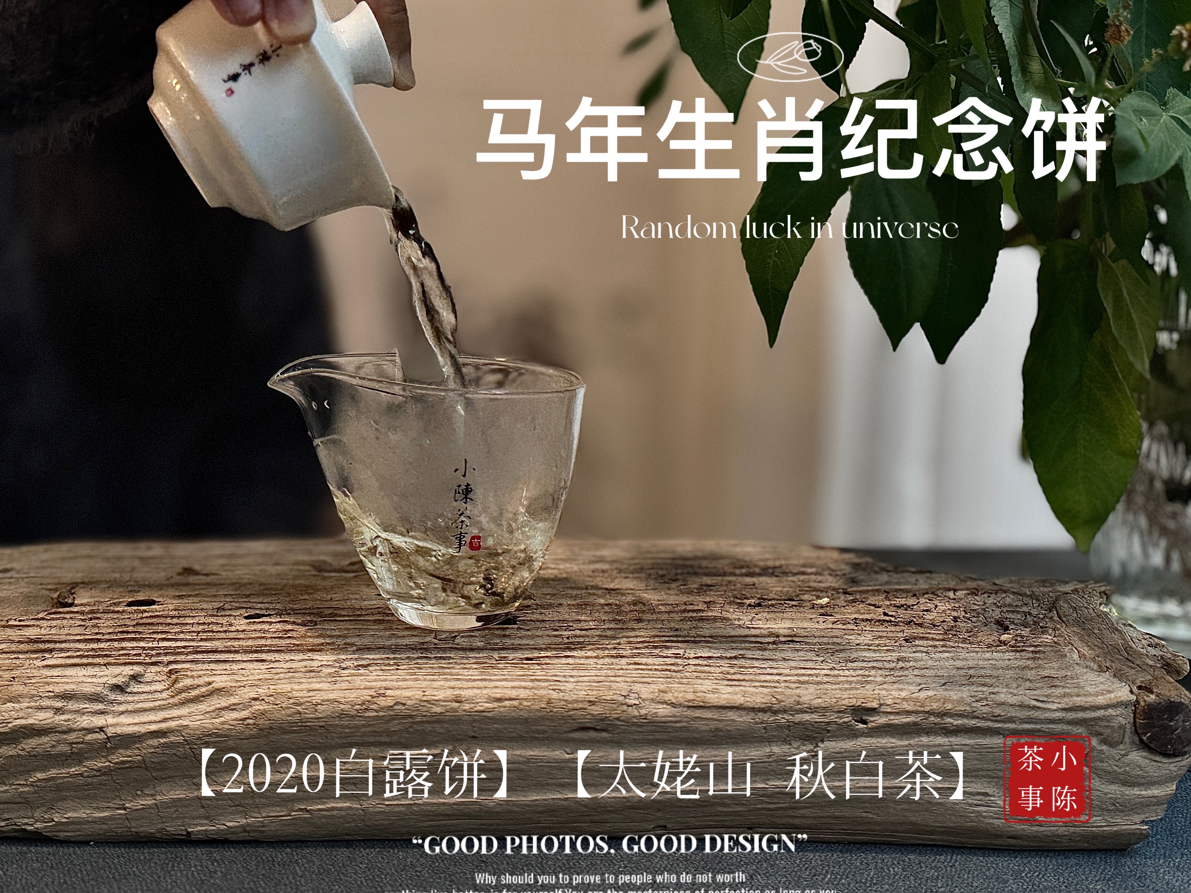2026春节送茶礼攻略，什么茶能送？什么茶不能送？一次性说清楚_百科TA说