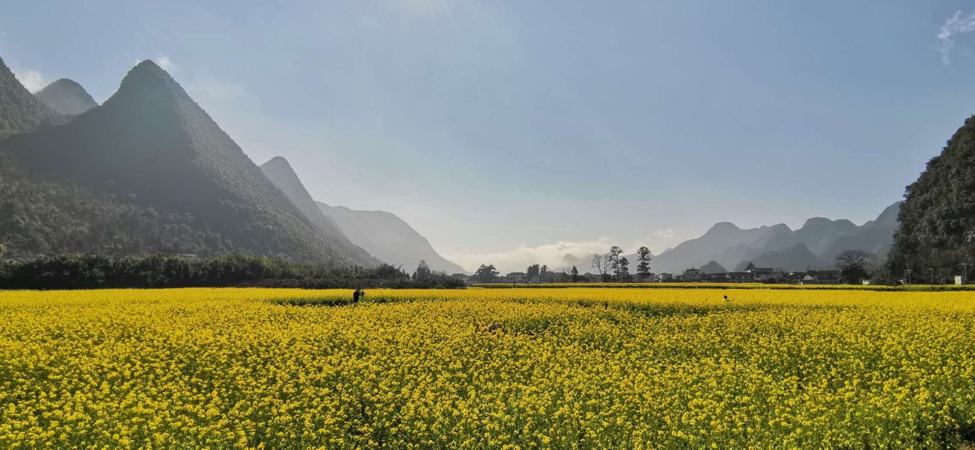 兴义万峰林：油菜花开迎客来_百科TA说