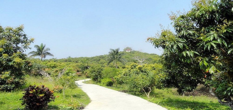  p>大南山华侨管理区位于粤东沿海,地处广东省揭阳市惠来县腹地,全区