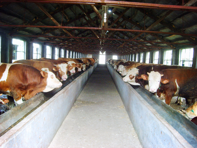  p>南沙河镇隶属山东省 a target="_blank" href="/item/滕州市">滕州